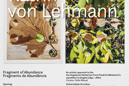 Fragment of Abandance